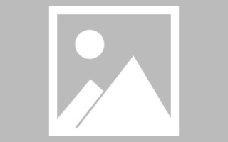 安顺网页设计师周记（网页设计周记26篇300字）